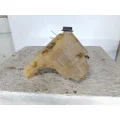 INTERNATIONAL LT RADIATOR OVERFLOW TANK thumbnail 1
