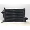 INTERNATIONAL Lonestar Charge Air Cooler (ATAAC) thumbnail 1