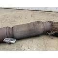 INTERNATIONAL Lonestar Muffler thumbnail 3