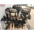 INTERNATIONAL MAX FORCE 13 Engine Assembly thumbnail 4