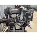 INTERNATIONAL MAX FORCE 13 Engine Assembly thumbnail 4