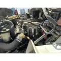 INTERNATIONAL MAXFORCE 11 Engine Assembly thumbnail 1