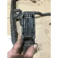 INTERNATIONAL MAXFORCE DT Wiring Harness thumbnail 2