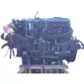 INTERNATIONAL MAXXFORCE 13 EPA 10 ENGINE ASSEMBLY thumbnail 2