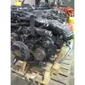 INTERNATIONAL MAXXFORCE 13 EPA 10 ENGINE ASSEMBLY thumbnail 6