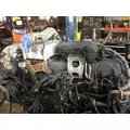 INTERNATIONAL MAXXFORCE 13 Engine Assembly thumbnail 4