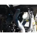 INTERNATIONAL MAXXFORCE 13 Engine Assembly thumbnail 2