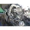 INTERNATIONAL MAXXFORCE 13 Engine Assembly thumbnail 9