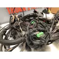 INTERNATIONAL MAXXFORCE 13 Engine Wiring Harness thumbnail 5