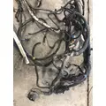 INTERNATIONAL MAXXFORCE 13 Engine Wiring Harness thumbnail 3