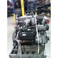 INTERNATIONAL MAXXFORCE 7 V8 (6.4L) ENGINE ASSEMBLY thumbnail 9