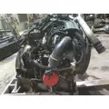 INTERNATIONAL MAXXFORCE 7 V8 (6.4L) ENGINE ASSEMBLY thumbnail 4
