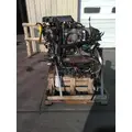 INTERNATIONAL MAXXFORCE 7 V8 (6.4L) ENGINE ASSEMBLY thumbnail 8