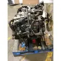 INTERNATIONAL MAXXFORCE 7 V8 (6.4L) ENGINE ASSEMBLY thumbnail 4