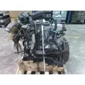INTERNATIONAL MAXXFORCE 7 V8 (6.4L) ENGINE ASSEMBLY thumbnail 1