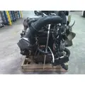 INTERNATIONAL MAXXFORCE 7 V8 (6.4L) ENGINE ASSEMBLY thumbnail 2