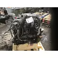 INTERNATIONAL MAXXFORCE 7 Engine Assembly thumbnail 4