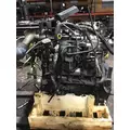 INTERNATIONAL MAXXFORCE 7 Engine Assembly thumbnail 3