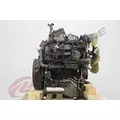 INTERNATIONAL MAXXFORCE 7 Engine Assembly thumbnail 6