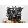 INTERNATIONAL MAXXFORCE 7 Engine Assembly thumbnail 1