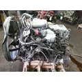 INTERNATIONAL MAXXFORCE 9 EPA 10 ENGINE ASSEMBLY thumbnail 6
