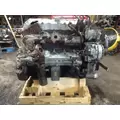 INTERNATIONAL MAXXFORCE 9 Engine Assembly thumbnail 4