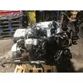 INTERNATIONAL MAXXFORCE 9 Engine Assembly thumbnail 2
