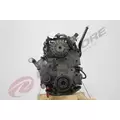 INTERNATIONAL MAXXFORCE 9 Engine Assembly thumbnail 8