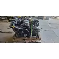 INTERNATIONAL MAXXFORCE DT466 Engine Assembly thumbnail 6