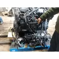 INTERNATIONAL MAXXFORCE DT466 Engine Oil Cooler thumbnail 2