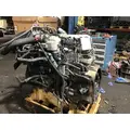 INTERNATIONAL MAXXFORCE DT Engine Assembly thumbnail 3
