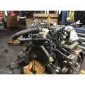 INTERNATIONAL MAXXFORCE DT Engine Assembly thumbnail 3