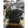 INTERNATIONAL MAXXFORCE DT Engine Assembly thumbnail 4
