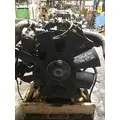 INTERNATIONAL MAXXFORCE DT Engine Assembly thumbnail 3