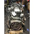 INTERNATIONAL MAXXFORCE DT Engine Assembly thumbnail 2