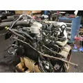 INTERNATIONAL MAXXFORCE DT Engine Assembly thumbnail 3