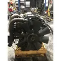 INTERNATIONAL MAXXFORCE DT Engine Assembly thumbnail 4