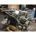 INTERNATIONAL MAXXFORCE DT Engine Assembly thumbnail 3