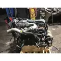 INTERNATIONAL MAXXFORCE DT Engine Assembly thumbnail 4