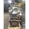 INTERNATIONAL MAXXFORCE DT Engine Assembly thumbnail 3