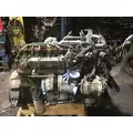 INTERNATIONAL MAXXFORCE DT Engine Assembly thumbnail 2