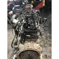 INTERNATIONAL MAXXFORCE DT Engine Assembly thumbnail 3