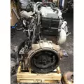 INTERNATIONAL MAXXFORCE DT Engine Assembly thumbnail 2