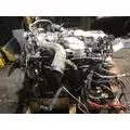 INTERNATIONAL MAXXFORCE DT Engine Assembly thumbnail 4