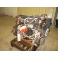 INTERNATIONAL MAXXFORCE DT Engine Assembly thumbnail 1