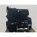 INTERNATIONAL MAXXFORCE DT Engine Assembly thumbnail 2