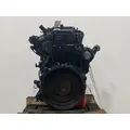 INTERNATIONAL MAXXFORCE DT Engine Assembly thumbnail 4
