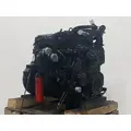INTERNATIONAL MAXXFORCE DT Engine Assembly thumbnail 7