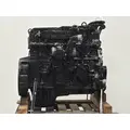 INTERNATIONAL MAXXFORCE DT Engine Assembly thumbnail 5