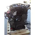 INTERNATIONAL MAXXFORCE DT Engine Assembly thumbnail 5